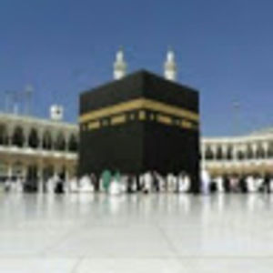 Meet your Posher, Leon